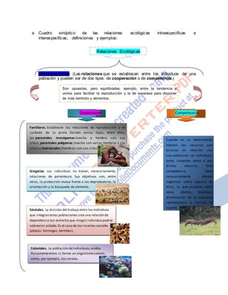 a Cuadro sinóptico de las relaciones ecológicas intraespecificas e
interespecificas, definiciones y ejemplos:
Relaciones Ecológicas
Intraespecificas (Las relaciones que se establecen entre los individuos de una
población y pueden ser de dos tipos: de cooperación o de competencia.)
Son opuestas, pero equilibradas, ejemplo, entre la tendencia a
unirse para facilitar la reproducción y la de separase para disponer
de más territorio y alimentos.
Cooperación Competencia
Familiares. Establecen las relaciones de reproducción y de
cuidado de la prole. Existen varios tipos, entre ellas,
las parentales monógamas (macho y hembra con sus
crías); parentales polígamas (macho con varias hembras y sus
crías) y matriarcales (hembras con sus crías).
Gregarias. Los individuos no tienen, necesariamente,
relaciones de parentesco. Sus objetivos son, entre
otros, la protección mutua frente a los depredadores, la
orientación y la búsqueda de alimento.
Estatales. La división del trabajo entre los individuos
que integran estas poblaciones crea una relación de
dependencia tan estrecha que ningún individuo podría
sobrevivir aislado.Es el caso de los insectos sociales
(abejas, hormigas, termitas).
Cuando en un determinado
hábitat los recursos son
escasos en relación con
una población de individuos,
éstos compiten entre sí por
dichos recursos. Esta
competencia tiene
necesariamente efectos
negativos sobre algunos de
ellos, lo que produce, entre
otros efectos, debilidad,
disminución de la actividad
reproductora e incluso la
muerte.
Coloniales. La población deindividuos,unidos
físicamenteentre sí,forma un organismo común,
como, por ejemplo, los corales.
 