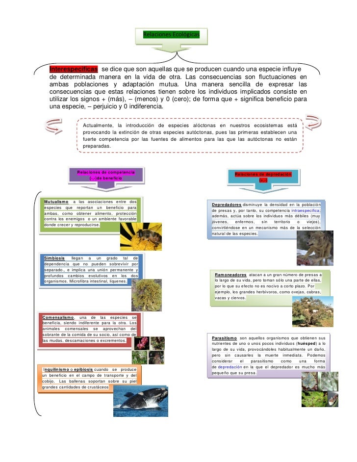 cuadrosinopticoderelacionesintraespecificasy