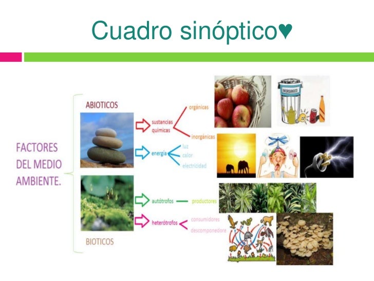 Factores del Medio Ambiente