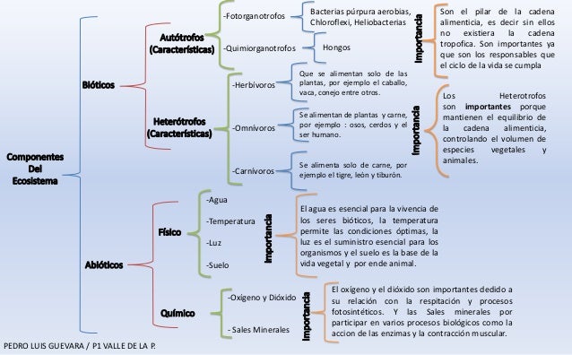 Cuadro sinoptico Componentes del ecosistema PEDRO GUEVARA