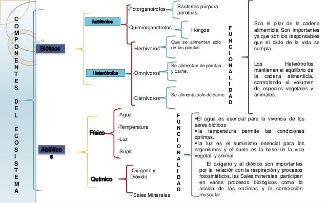 Cuadro sinoptico ecosistema nuvia