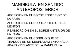 MANDIBULA EN SENTIDO
ANTEROPOSTERIOR
• APOSICION EN EL BORDE POSTERIOR DE
LA RAMA
• APOSICION EN EL BORDE ANTERIOR DEL
MEN...