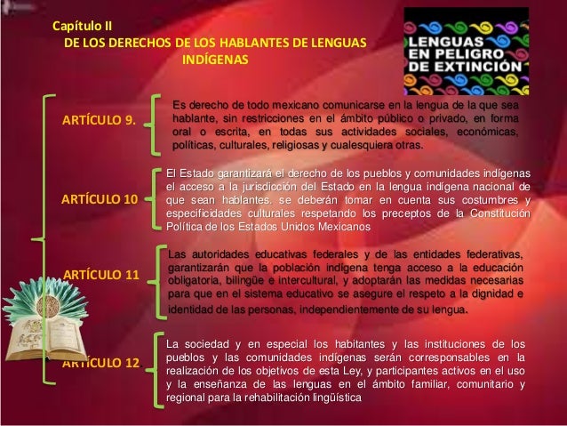 Cuadro sinoptico tema 12