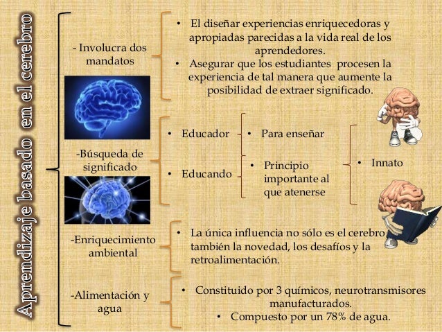 Cuadro sinóptico aprendizaje basado en el cerebro Michelle