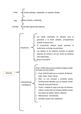 9
Frutos Vainas oblongas, estipitadas, en capítulos florales
Raíz Raíz profunda y extendida.
Semillas Semillas ligeramente elípticas
Arbóreas
Importancia
 son fuente importante de alimento para la
ganadería y la fauna silvestre, principalmente
durante la época seca
 El componente arbóreo puede aumentar el
rendimiento de forraje de gramíneas
 Los árboles en los potreros permiten al ganado
disponer de sombra y de una ración de pastoreo
más balanceada.
 Banco de proteína
Carcateristicas
morfológicas
Palm, (1995) indica que los arboles forrajeros están
formados por tres partes;
 Copa: Está formada por un conjunto de Ramas,
hojas, flores, frutos (vaina).
 Raíz: La raíz principal o pivotante posee
ramificaciones laterales que se originan pronto
después de la germinación
 Tronco: sostiene la copa y los hay de diversos
colores y sobre todo de diversas texturas posee
dos capas de células (xilema y floema).
 Inflorescencia: hermafrodita
 Semillas: poseen dos cotiledones
 