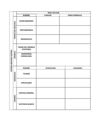 NIVEL CELULAR
                                                      NOMBRE           FUNCION            PARES CRANEALES


                                                  BULBO RAQUÍDEO
                           TRONCO DEL ENCEFALO




                                                   PROTUBERANCIA




                                                    MESENCEFALO



                                                 TIENDA DEL CEREBELO
                                                     OTENTORIO
SISTEMA NERVIOSO CENTRAL
                           CEREBELO




                                                    HEMISFERIOS
                                                    CEREBELOSOS




                                                      NOMBRE            ESTRUCTURA             FUNCIONES
                           DIENCEFALO




                                                      TALAMO




                                                    HIPOTALAMO




                                                  CORTEZA CEREBRAL
                           CEREBRO




                                                 SUSTANCIA BLANCA
 