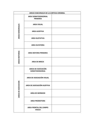 AREAS FUNCIONALES DE LA CORTEZA CEREBRAL
                        AREA SOMATOSENSORIAL
                               PRIMARIA


                             AREA VISUAL
AREAS SENSORIALES




                            AREA AUDITIVA


                            AREA GUSTATIVA


                            AREA OLFATORIA
AREAS MOTORAS




                        AREA MOTORA PRIMARIA



                            AREA DE BROCA



                         AREAS DE ASOCIACIÓN
                          SOMATOSENSORIAL


                       AREA DE ASOCIACIÓN VISUAL
AREAS DE ASOCIACION




                      AREA DE ASOCIACIÓN AUDITIVA



                           AREA DE WERNICKE



                           AREA PROMOTORA


                       AREA FRONTAL DEL CAMPO
                               VISULA
 