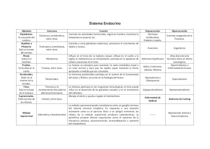 Cuadro sintesis stma endocrino