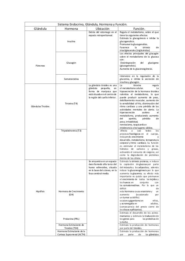 Cuadro sistema endocrino.