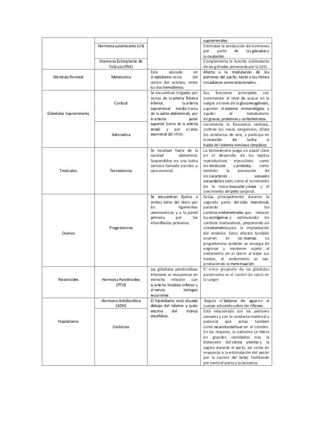 Cuadro sistema endocrino.