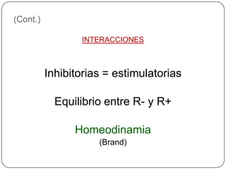 (Cont.)

                 INTERACCIONES



          Inhibitorias = estimulatorias

            Equilibrio entre R- y R+

                Homeodinamia
                     (Brand)
 