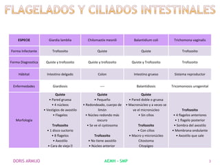 ESPECIE            Giardia lamblia          Chilomastix mesnili          Balantidium coli         Trichomona vaginalis


Forma Infectante          Trofozoito                   Quiste                     Quiste                   Trofozoito


Forma Diagnostica    Quiste y trofozoito         Quiste y trofozoito       Quiste y Trofozoito             Trofozoito


     Hábitat          Intestino delgado                Colon                 Intestino grueso          Sistema reproductor


 Enfermedades             Giardiosis                    ----                   Balantidiosis         Tricomoniosis urogenital

                            Quiste                      Quiste                     Quiste
                       • Pared gruesa                 • Pequeño           • Pared doble o gruesa
                         • 4 núcleos          • Redondeado, cuerpo de   • Macronúcleo y a veces se
                    • Vestigios de axostilo              limón               ve el micronúcleo               Trofozoito
                          • Flagelos            • Núcleo redondo más             • Sin cilios         • 4 flagelos anteriores
   Morfología                                           oscuro                                         • 1 flagelo posterior
                          Trofozoito             • Se ve el cystosoma          Trofozoito             • Sombra del axostilo
                      • 1 disco suctorio                                       • Con cilios          • Membrana ondulante
                         • 8 flagelos                Trofozoito           • Macro y micronúcleo         • Axostilo que sale
                          • Axostilo             • No tiene axostilo           Citostoma
                      • Cara de vieja           • Núcleo anterior              Citopígeo



 DORIS ARMIJO                                              AEMH - SMP                                                           3
 
