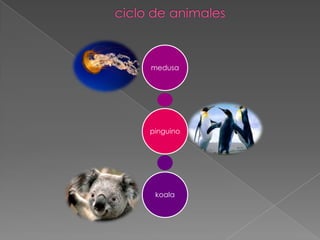 ciclo de animales