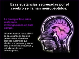 Esas sustancias segregadas por el cerebro se llaman neuropéptidos.  La biología lleva años realizando investigaciones en este campo.  Lo que sabemos hasta ahora es que cuando se tiene un pensamiento, el cerebro produce sustancias que afectan a la persona, y lo que ésta siente es la producción y asimilación de esos neuropéptidos.  