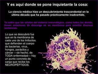 Lo que se descubrió fue que en la membrana de cada uno de los linfocitos que defienden el cuerpo de bacterias, virus, hongos, parásitos y cáncer —de hecho, de TODA enfermedad— hay un punto concreto de carga que recibe los NEUROPÉPTIDOS .  Ya sabía que las células del sistema inmunológico, como todas las demás, tienen estaciones de descarga en su membrana para asimilar diversas sustancias.  Y es aquí donde se pone inquietante la cosa:  La ciencia médica hizo un descubrimiento trascendental en la última década que ha pasado prácticamente inadvertido.  