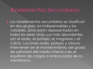 

Los bioelementos secundarios se clasifican
en dos grupos: los indispensables y los
variables. Estos están representados en
todos los seres vivos. Los más abundantes
son el sodio, el potasio, el magnesio y el
calcio. Los iones sodio, potasio y cloruro
intervienen en el mantenimiento del grado
de salinidad del medio interno y en el
equilibrio de cargas a ambos lados de la
membrana.

 