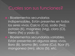 - Bioelementos secundarios
indispensables. Están presentes en todos
los seres vivos. Calcio (Ca), sodio (Na),
potasio (K), magnesio (Mg), cloro (Cl),
hierro (Fe) y yodo (I).
 - Bioelementos secundarios variables.
Están presentes en algunos seres vivos.
Boro (B), bromo (Br), cobre (Cu), flúor (F),
manganeso (Mn), silicio (Si), etc.


 
