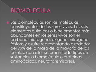 

Las biomoléculas son las moléculas
constituyentes de los seres vivos. Los seis
elementos químicos o bioelementos más
abundantes en los seres vivos son el
carbono, hidrógeno, oxígeno, nitrógeno,
fósforo y azufre representando alrededor
del 99% de la masa de la mayoría de las
células, con ellos se crean todo tipos de
sustancias o biomoléculas (proteínas,
aminoácidos, neurotransmisores).

 