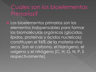 

Los bioelementos primarios son los
elementos indispensables para formar
las biomoléculas orgánicas (glúcidos,
lípidos, proteínas y ácidos nucleicos);
constituyen el 96% de la materia viva
seca. Son el carbono, el hidrógeno, el
oxígeno y el nitrógeno (C, H, O, N, P, S
respectivamente).

 