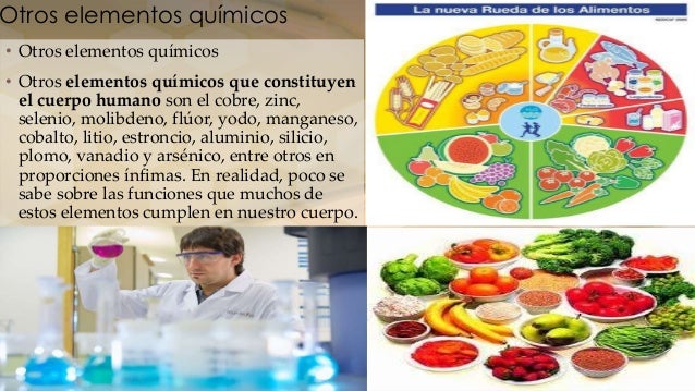 Cuales elementos quimicos son importantes para la buena alimentacion