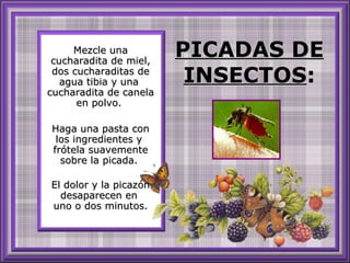 PICADAS DE INSECTOS :   Mezcle una cucharadita de miel, dos cucharaditas de agua tibia y una  cucharadita de canela en polvo.  Haga una pasta con los ingredientes y  frótela suavemente sobre la picada.  El dolor y la picazón desaparecen en  uno o dos minutos. 