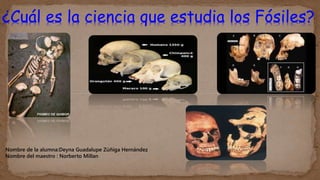 ¿Cuál es la ciencia que estudia los Fósiles?
Nombre de la alumna:Deyna Guadalupe Zúñiga Hernández
Nombre del maestro : Norberto Millan
 