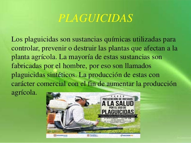 Cual Son Los Beneficios De La Planta La Desbaratadora Cual Son Los Beneficios De La Planta La Desbaratadora