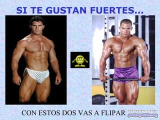 SI TE GUSTAN FUERTES...




CON ESTOS DOS VAS A FLIPAR
 