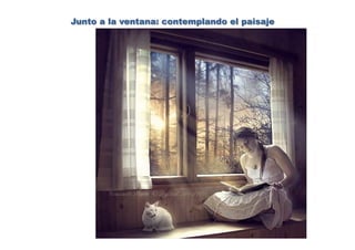 Junto a la ventana: contemplando el paisaje
 