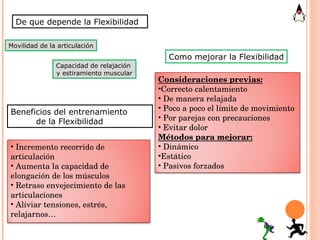 Beneficios del entrenamiento  de la Flexibilidad Como mejorar la Flexibilidad De que depende la Flexibilidad Movilidad de la articulación Capacidad de relajación  y estiramiento muscular Incremento recorrido de articulación Aumenta la capacidad de elongación de los músculos Retraso envejecimiento de las articulaciones Aliviar tensiones, estrés, relajarnos… Consideraciones previas: Correcto calentamiento De manera relajada Poco a poco el límite de movimiento Por parejas con precauciones Evitar dolor Métodos para mejorar: Dinámico Estático Pasivos forzados 