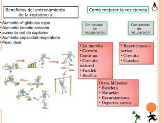 Beneficios del entrenamiento  de la resistencia Aumento nº glóbulos rojos Aumento tamaño corazón aumento red de capilares Aumento capacidad respiratoria Peso ideal Como mejorar la resistencia Sin pausas  de recuperación Con pausas  de  recuperación La marcha Carrera Continua Circuito natural Fartlek Aeróbic Repeticiones o series Circuito Cuestas Otros Métodos: Bicicleta Natación Excursionismo Deportes varios 
