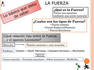 ¿Qué es la Fuerza? Vencer una oposición  mediante una acción muscular ¿Cuales son los tipos de Fuerza? Fuerza máxima Fuerza Explosiva(Potencia) Fuerza Resistencia Músculos Tensión constante = tono muscular Tendones  Vientre muscular ---Fascículos musculares ---Fibras musculares---Miofibrillas Cerebro --- Ramif. Nerviosas ---Impulsos nerviosos --- Movimiento Contracción Muscular LA FUERZA Lo básico que debo de saber ¿Qué relación hay entre la Fuerza… … y el aparato Locomotor? 