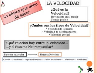 ¿Qué es la Velocidad? Movimiento en el menor  Tiempo posible ¿Cuales son los tipos de Velocidad? Velocidad de Reacción Velocidad de desplazamiento Velocidad gestual Sistema muscular Sistema Nervioso Cerebro --- Neuronas --- Impulsos nerviosos --- Fibras musculares --- Contracción--- Movimiento LA VELOCIDAD Lo básico que debo de saber ¿Qué relación hay entre la Velocidad… … y el Sistema Neuromuscular? 
