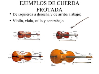 CUALIDADES DEL SONIDO Y CLASIFICACIÓN DE LOS INSTRUMENTOS MUSICALES