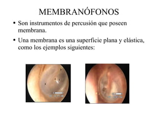 MEMBRANÓFONOS Son instrumentos de percusión que poseen membrana. Una membrana es una superficie plana y elástica, como los ejemplos siguientes: 