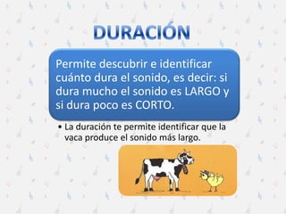 Permite descubrir e identificar
cuánto dura el sonido, es decir: si
dura mucho el sonido es LARGO y
si dura poco es CORTO.
• La duración te permite identificar que la
vaca produce el sonido más largo.