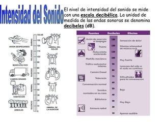 El nivel de intensidad del sonido se mide
con una escala decibélica. La unidad de
medida de las ondas sonoras se denomina
decibeles (dB).
 