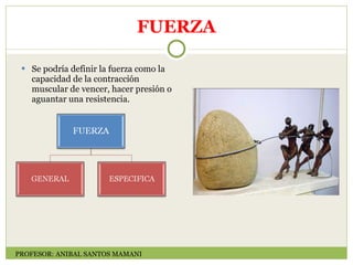 FUERZA Se podría definir la fuerza como la capacidad de la contracción muscular de vencer, hacer presión o aguantar una resistencia. PROFESOR: ANIBAL SANTOS MAMANI 