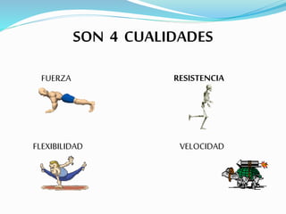 SON 4 CUALIDADES
FUERZA RESISTENCIA
FLEXIBILIDAD VELOCIDAD
 