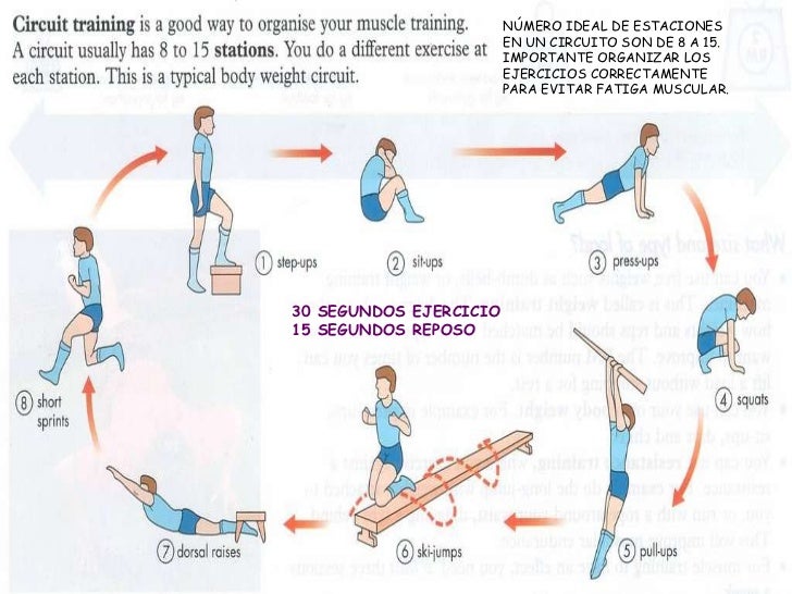 Cualidades fisicas básicas