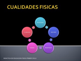 DIDACTICA DE EDUCACION FISICA PRIMER CICLO 