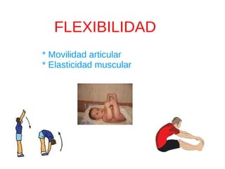 FLEXIBILIDAD
* Movilidad articular
* Elasticidad muscular
 