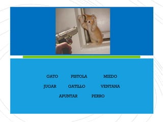 GATO PISTOLA MIEDO
JUGAR GATILLO VENTANA
APUNTAR PERRO
 
