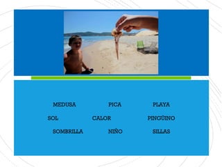 MEDUSA PICA PLAYA
SOL CALOR PINGÜINO
SOMBRILLA NIÑO SILLAS
 