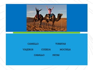 CAMELLO TURISTAS
VIAJEROS CUERDA MOCHILA
CABALLO PATAS
 