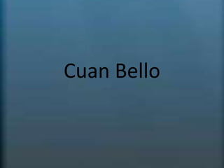 Cuan Bello 