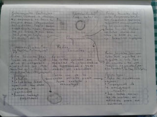 Cuanderno adelantado