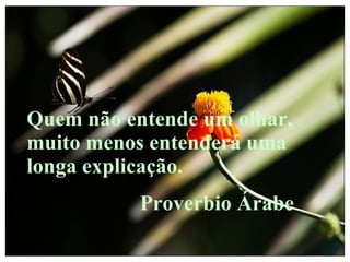 Quem não entende um olhar, muito menos entenderá uma longa explicação. Proverbio Árabe 