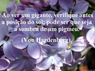 Ao ver um gigante, verifique antes a posição do sol; pode ser que seja  a sombra de um pigmeu.  (Von Hardenberg).   