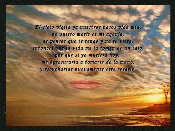 Cuando desperté